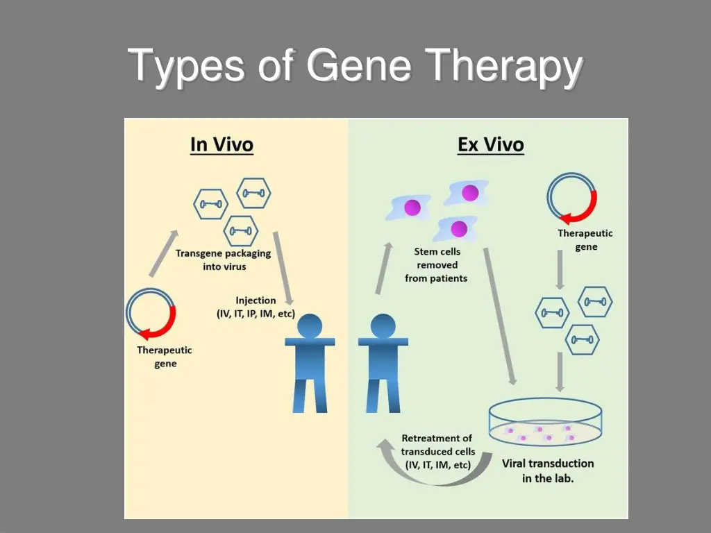 types of gene therapy