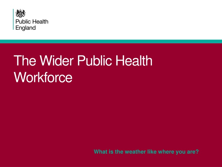 the wider public health workforce