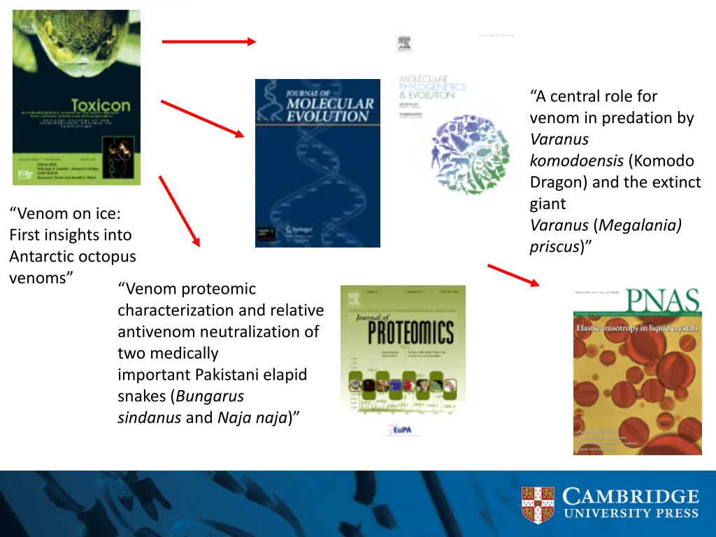 a central role for venom in predation by varanus