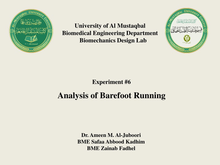 university of al mustaqbal biomedical engineering