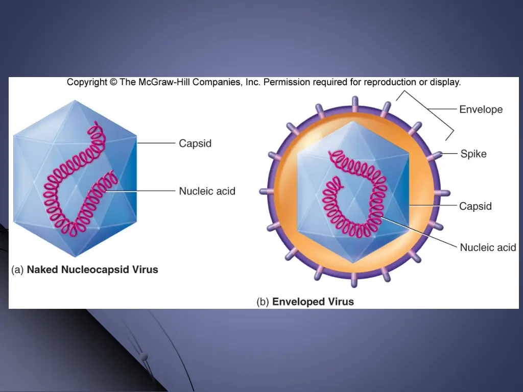 slide13