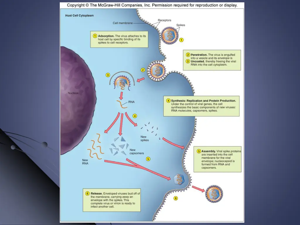 slide26