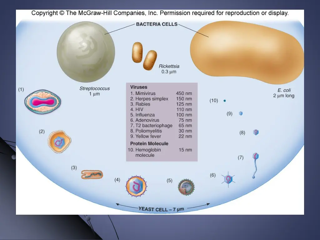slide7