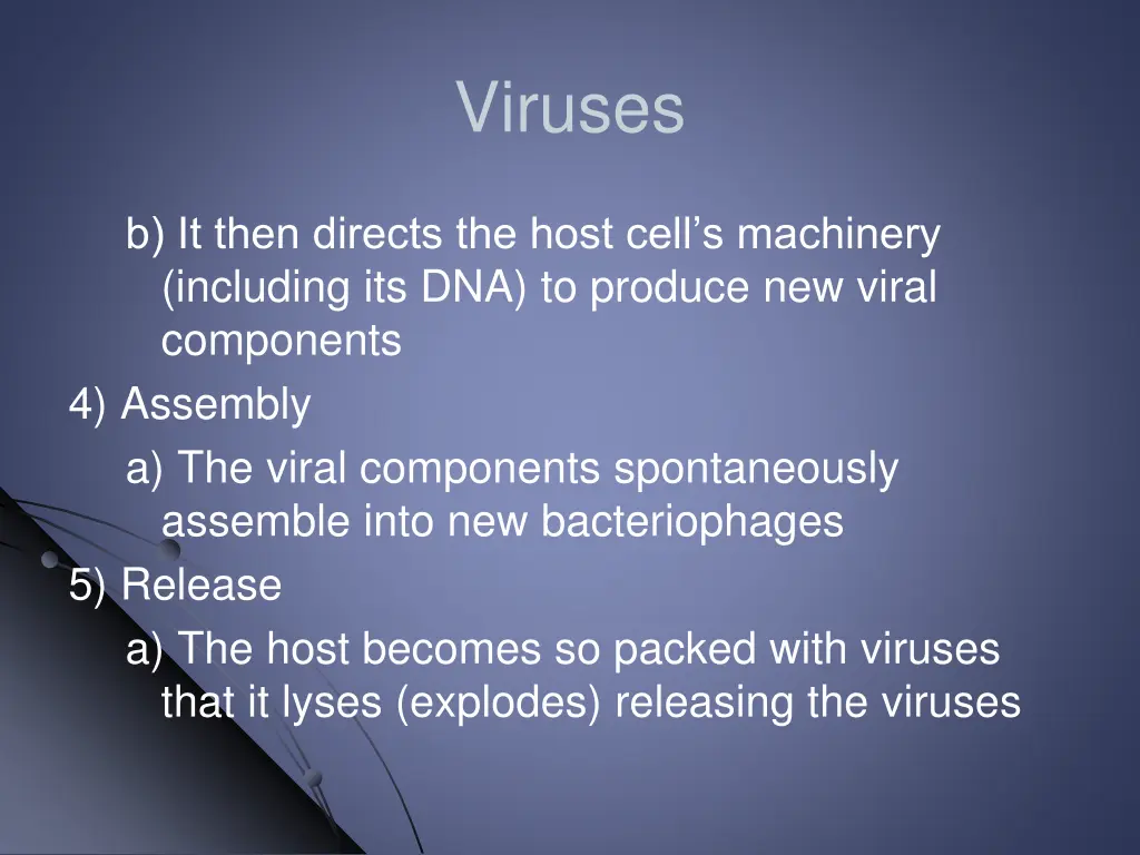 viruses 16