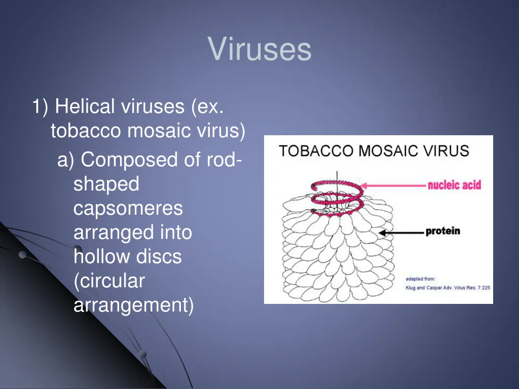 viruses 6