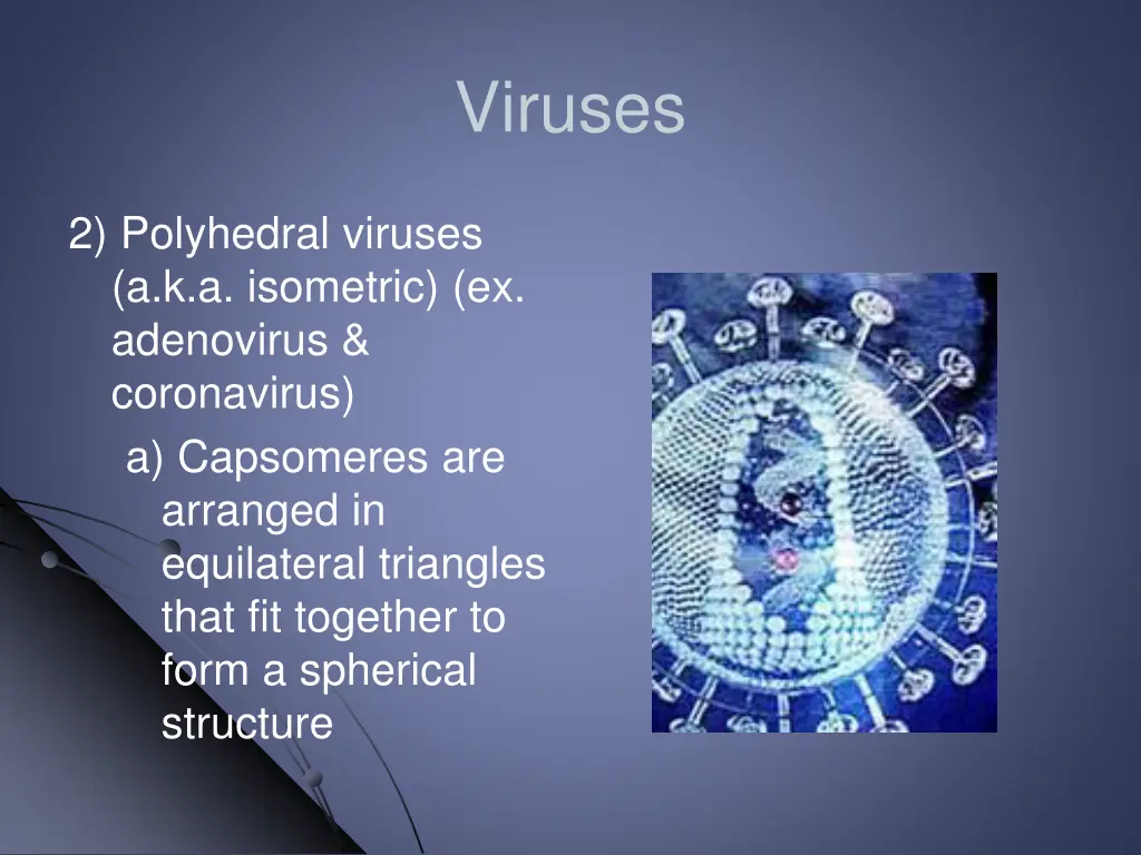viruses 7