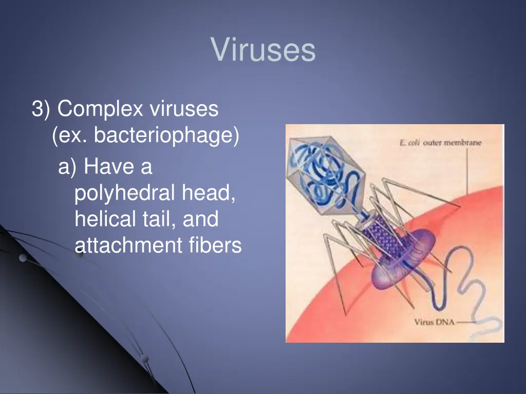viruses 8