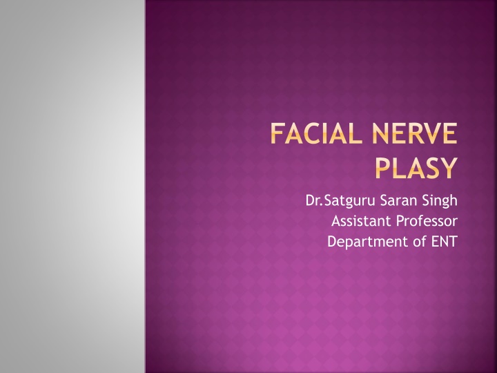 facial nerve