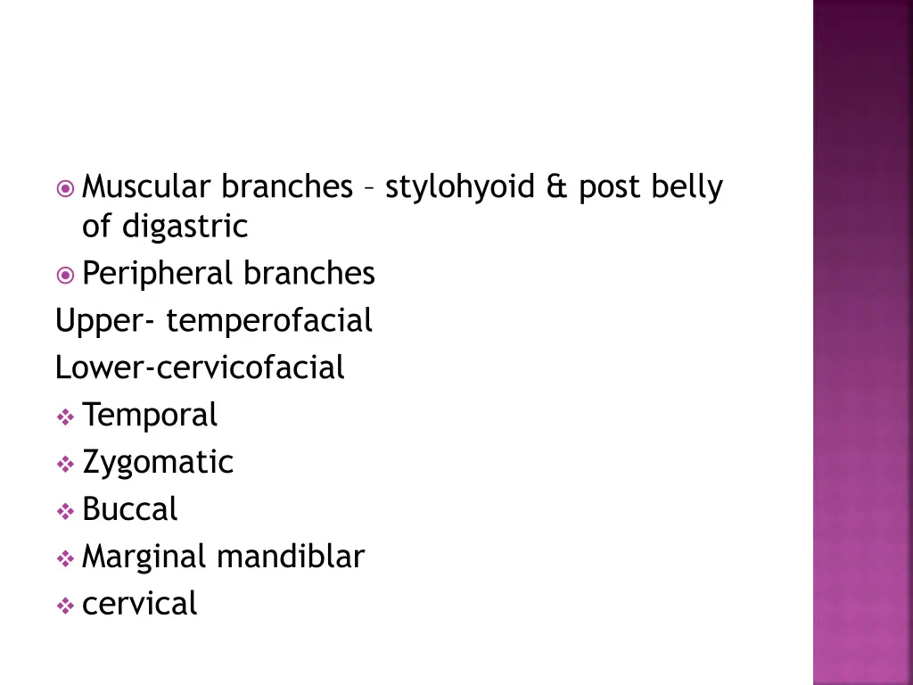 muscular branches stylohyoid post belly
