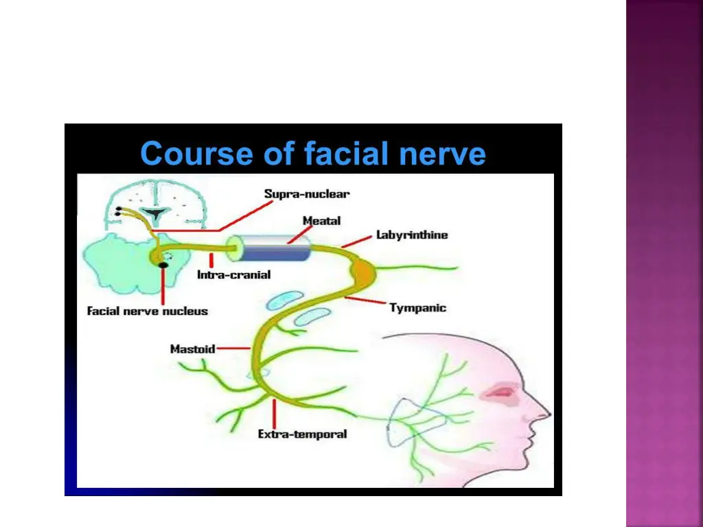 slide14