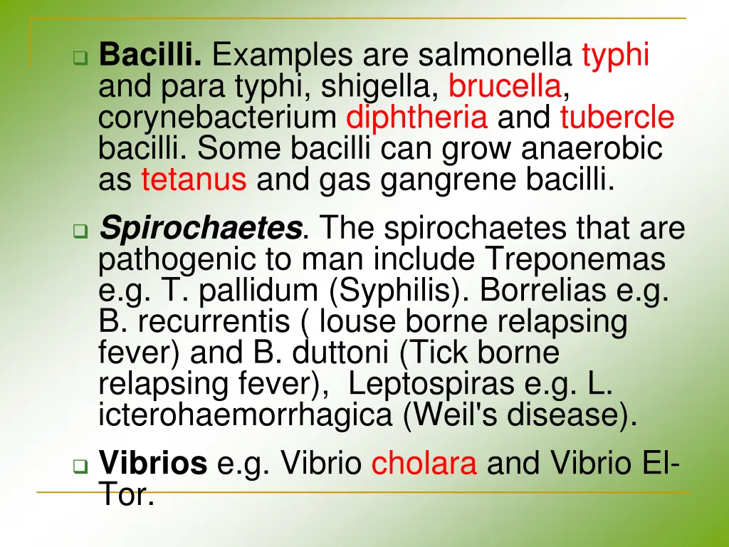 bacilli examples are salmonella typhi and para