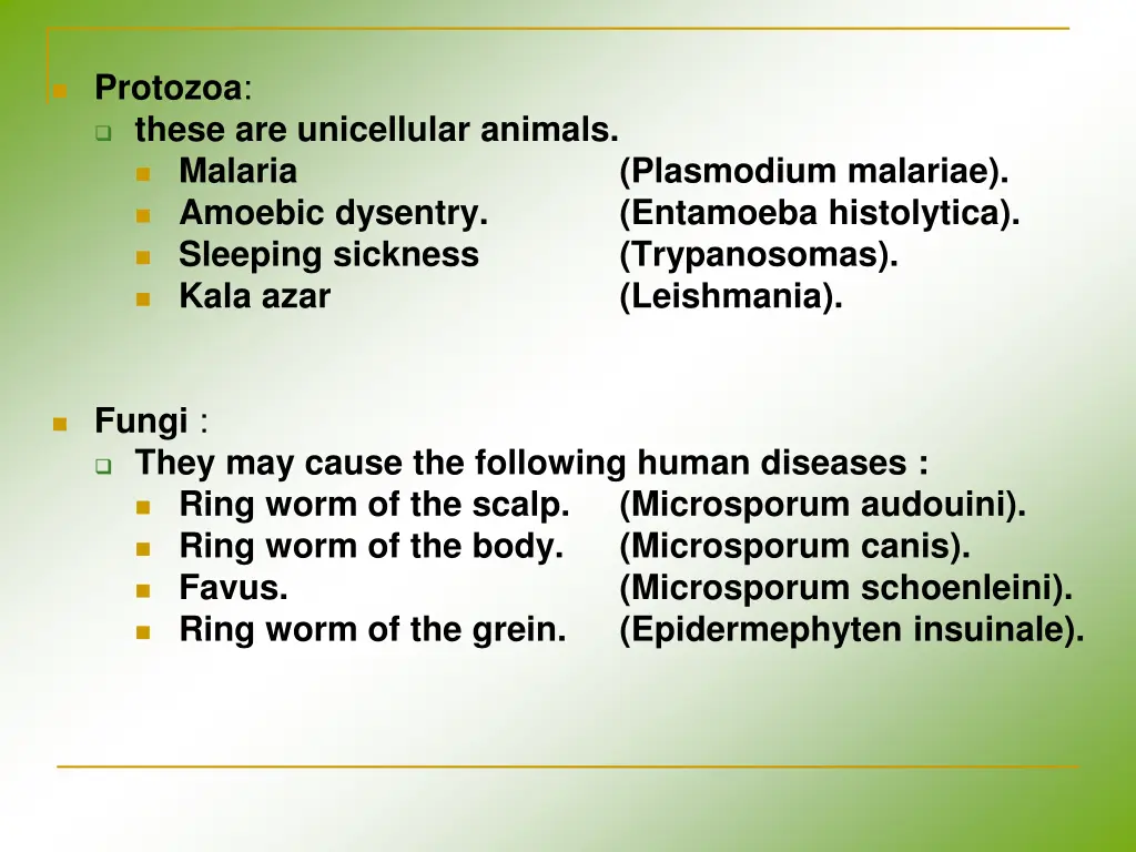 protozoa these are unicellular animals malaria