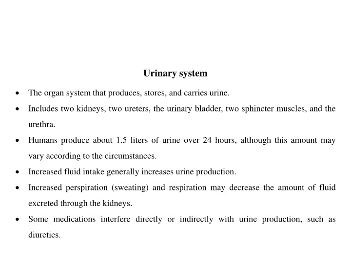 urinary system