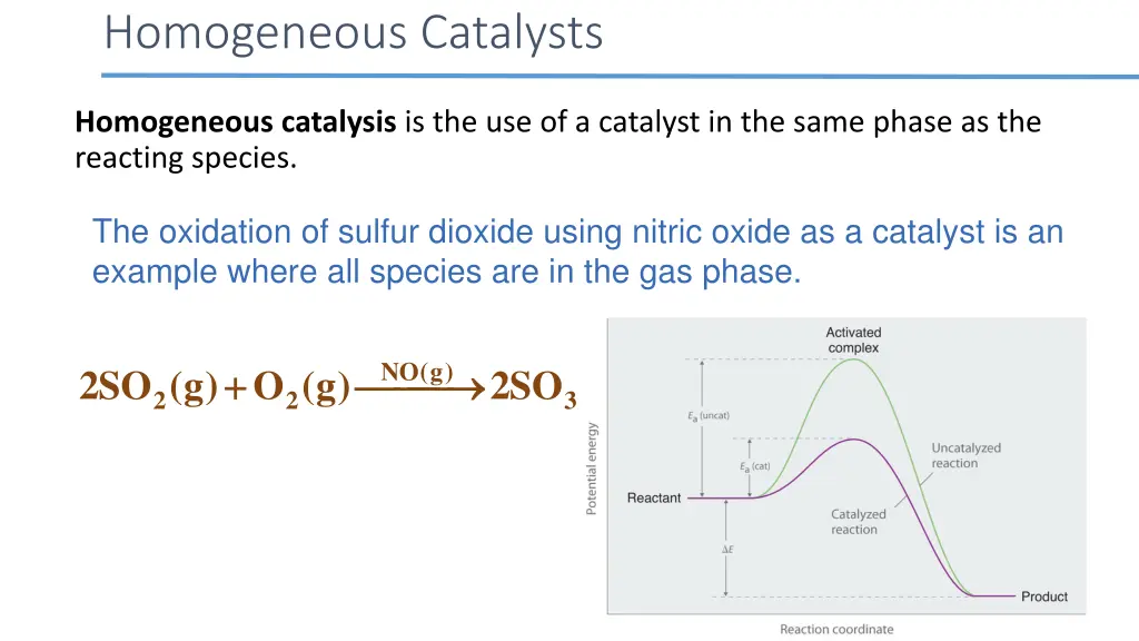 homogeneous catalysts