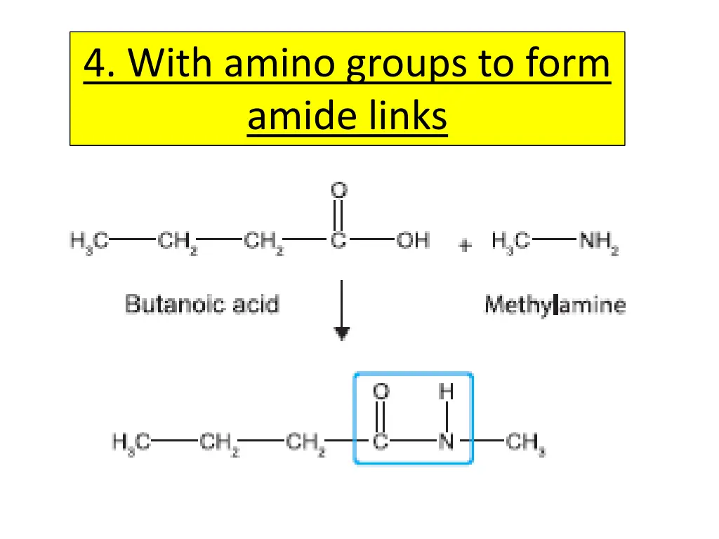 4 with amino groups to form amide links