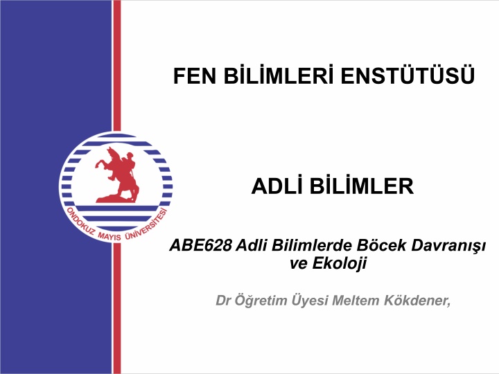 fen b l mler enst t s