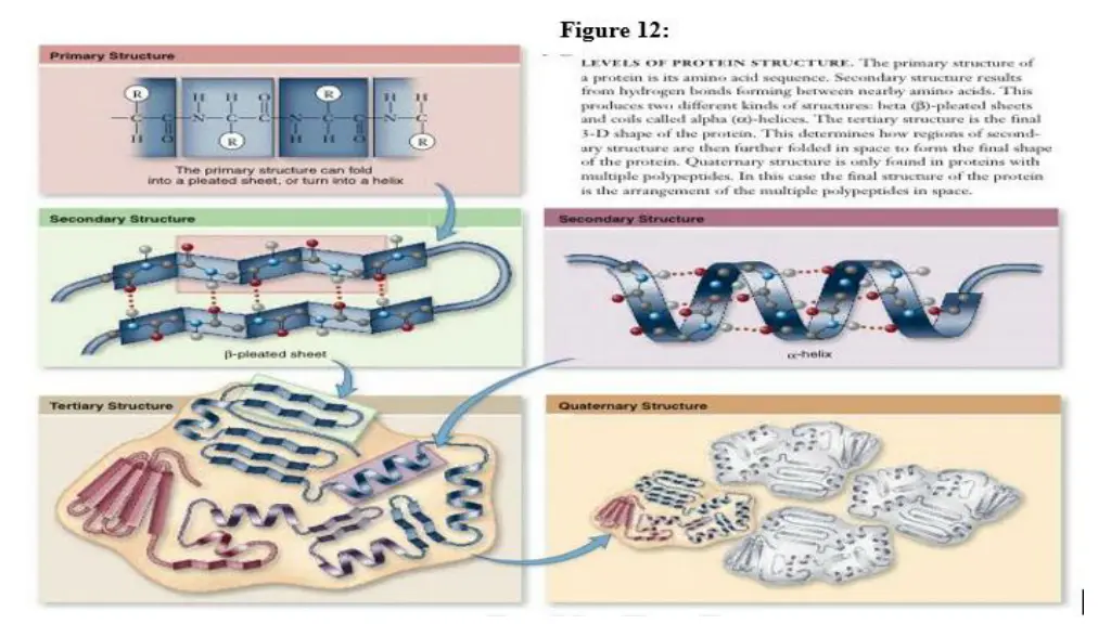slide9