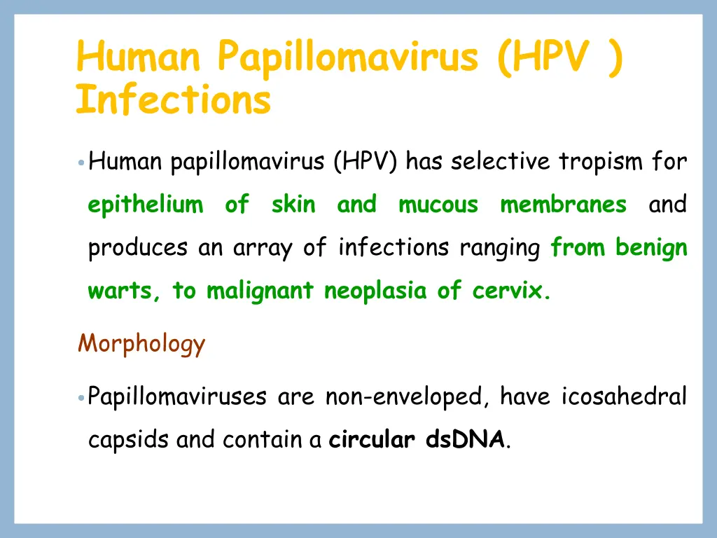 human papillomavirus hpv infections