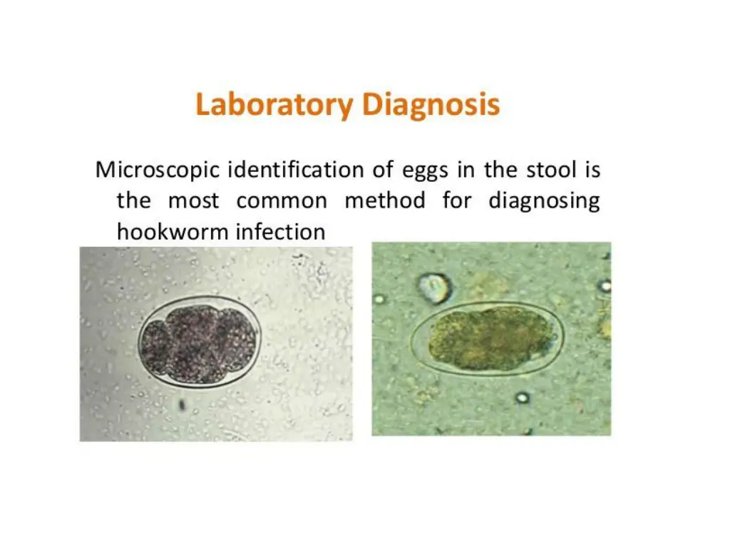 slide8