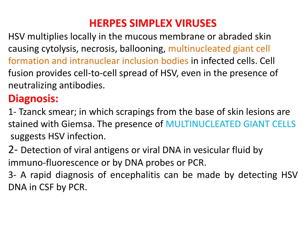herpes simplex viruses