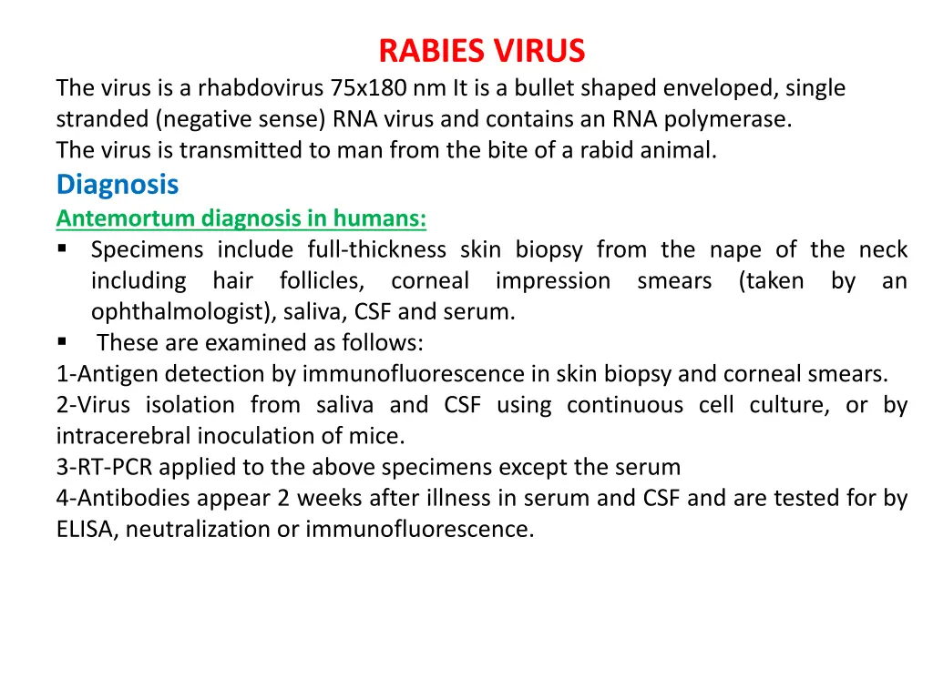 rabies virus