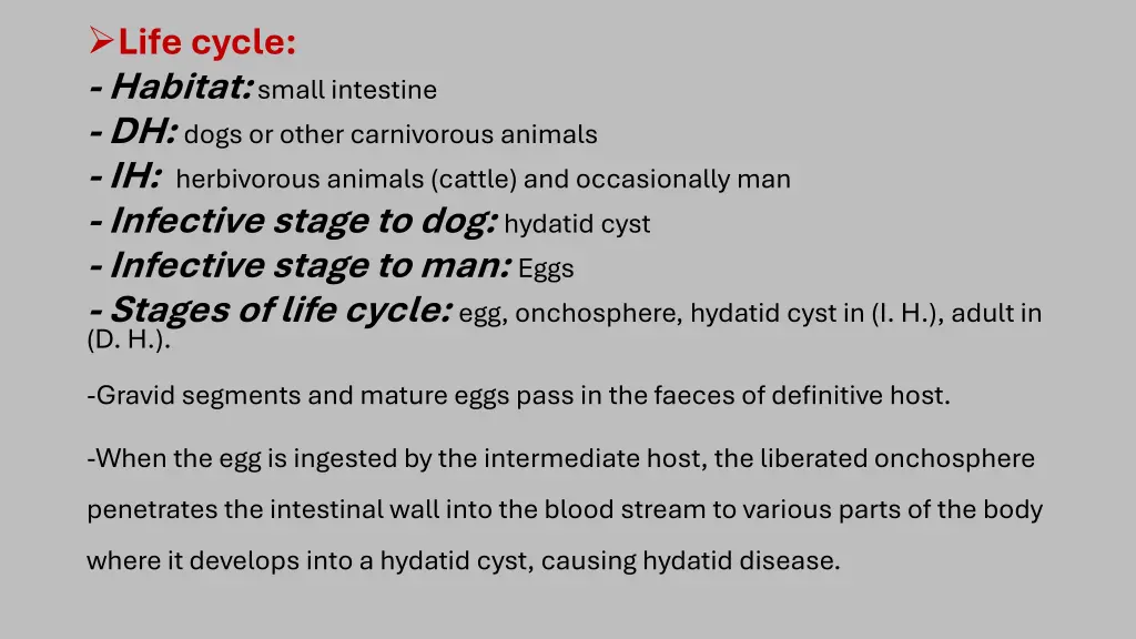 life cycle habitat small intestine dh dogs