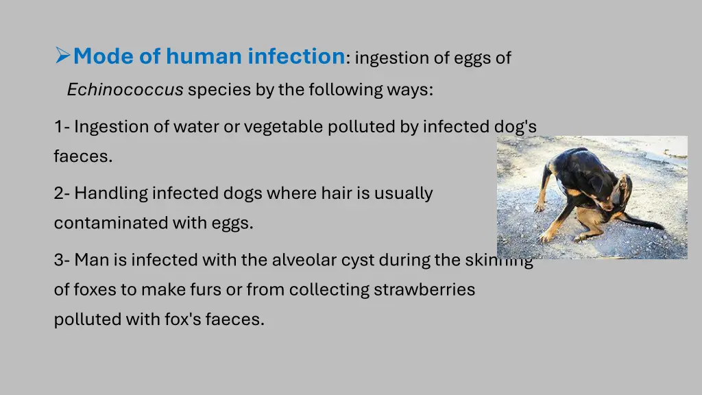 mode of human infection ingestion of eggs
