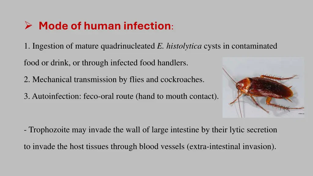 mode of human infection