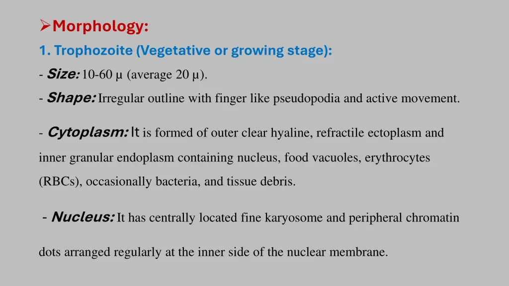 morphology 1 trophozoite vegetative or growing