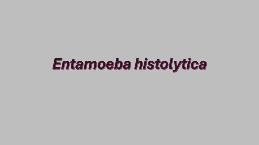 slide20