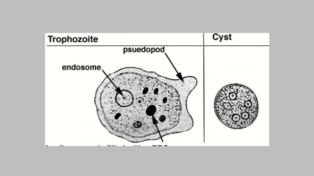 slide23