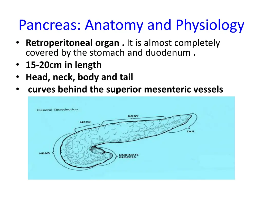 pancreas anatomy and physiology retroperitoneal