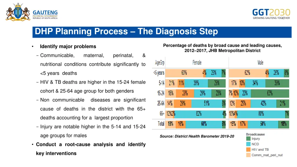 dhp planning process the diagnosis step