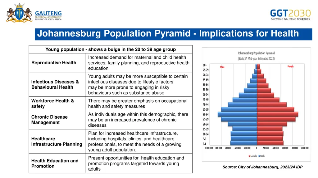 johannesburg population pyramid implications