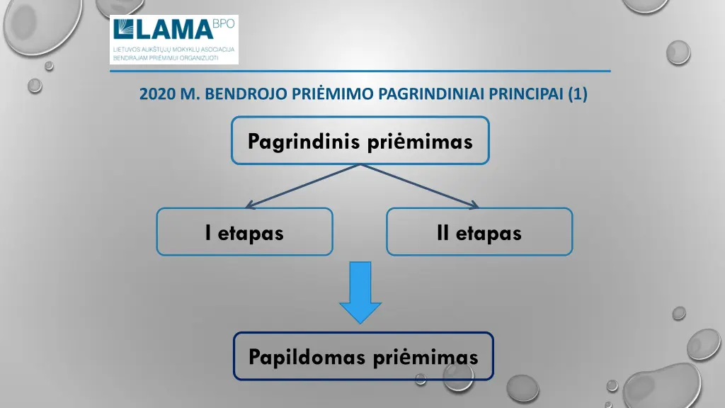 2020 m bendrojo pri mimo pagrindiniai principai 1