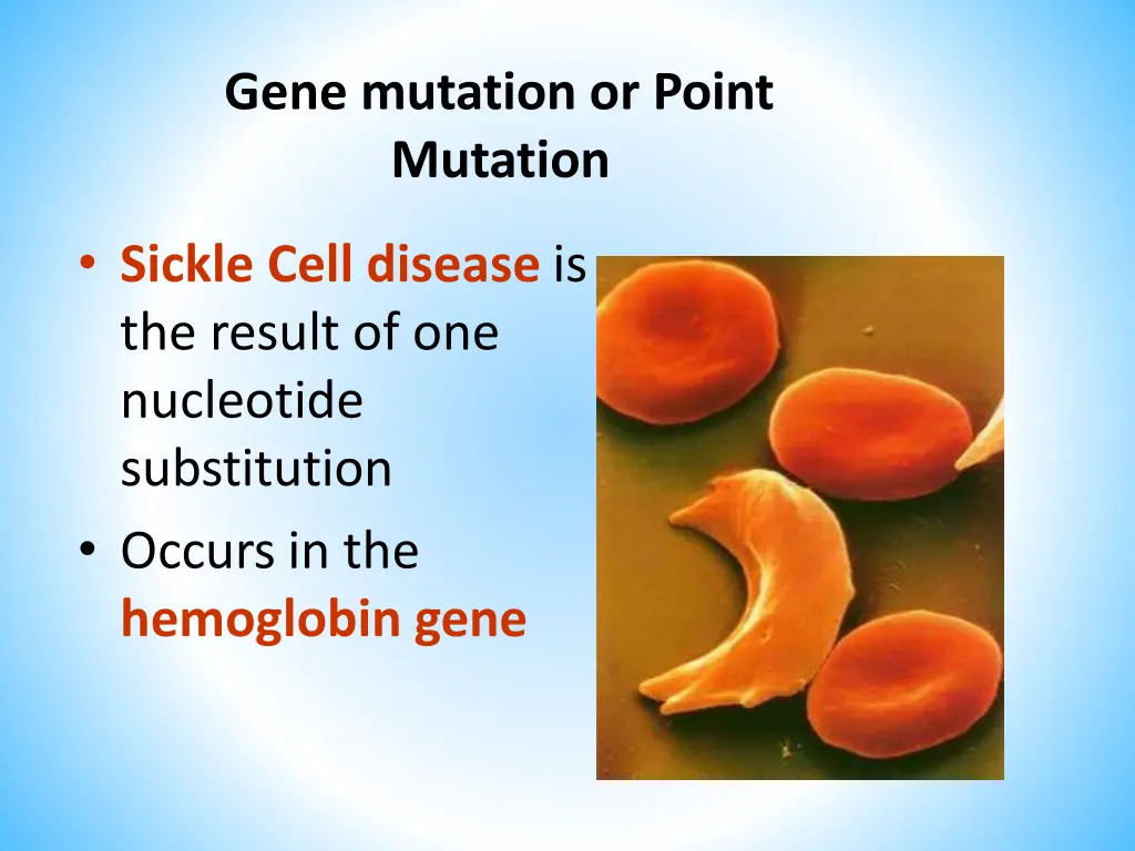 gene mutation or point mutation