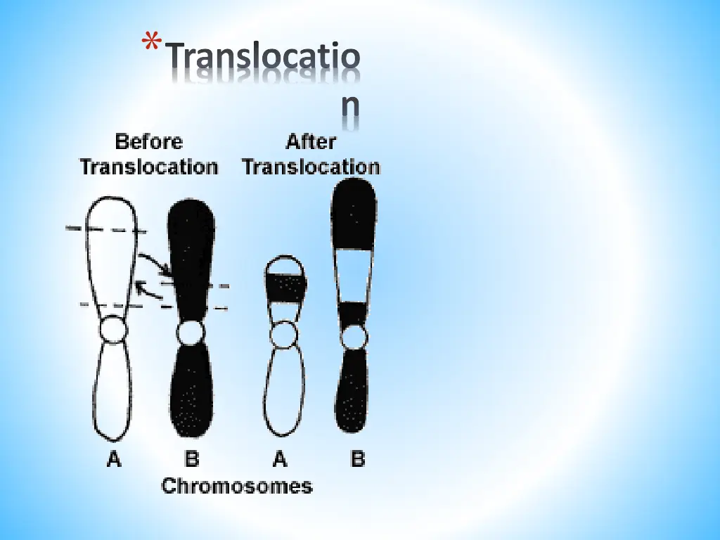 translocatio 1