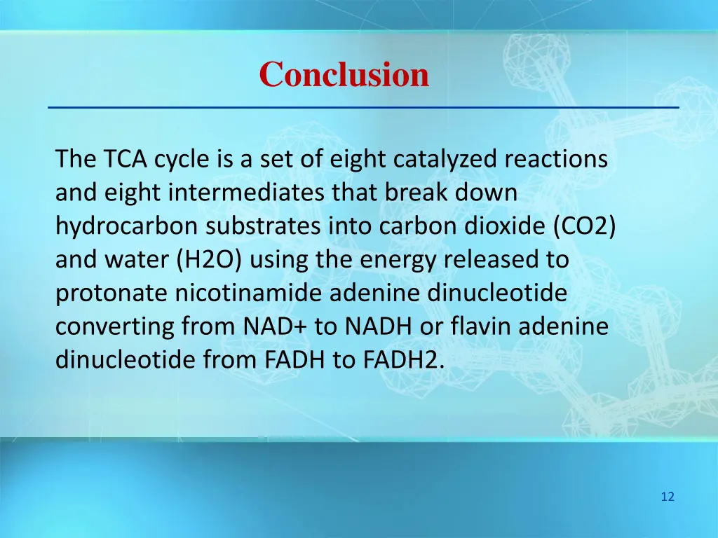 conclusion