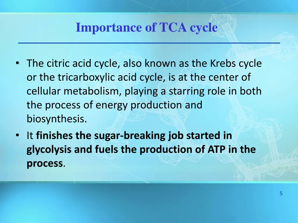 importance of tca cycle