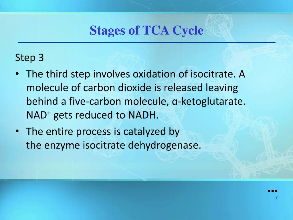 stages of tca cycle 1