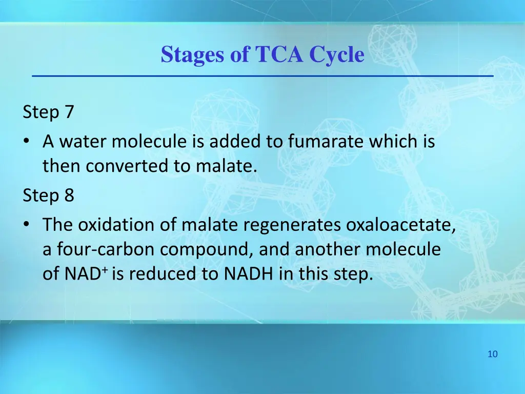 stages of tca cycle 4