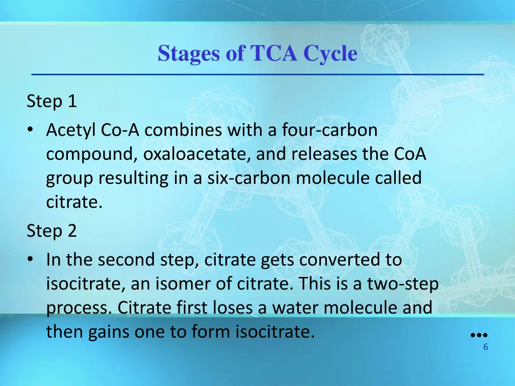 stages of tca cycle