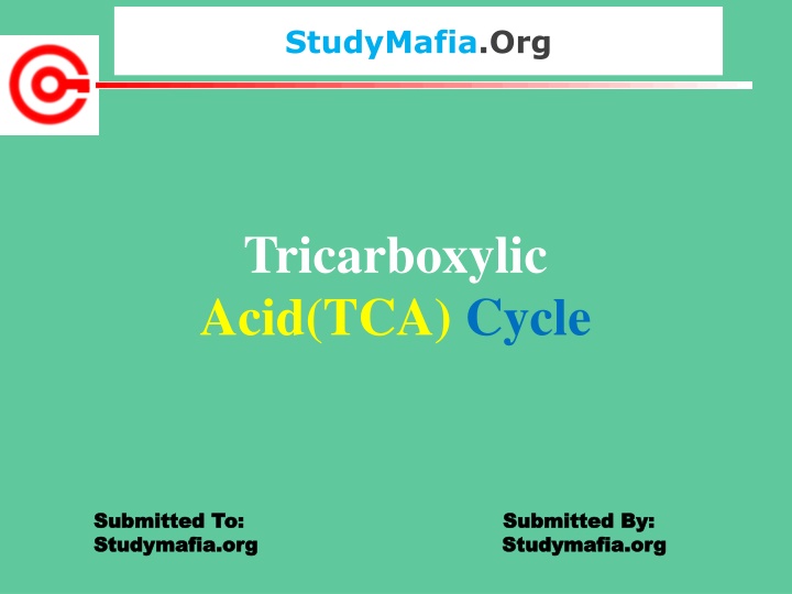 studymafia org