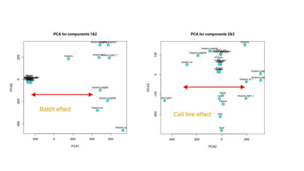 batch effect