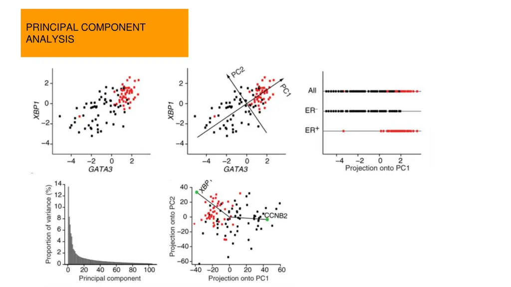 principal component analysis