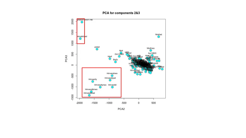 slide12