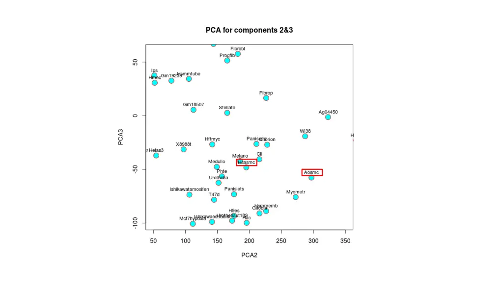 slide13