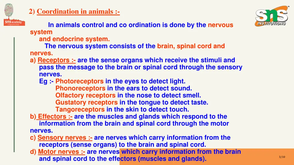 2 coordination in animals