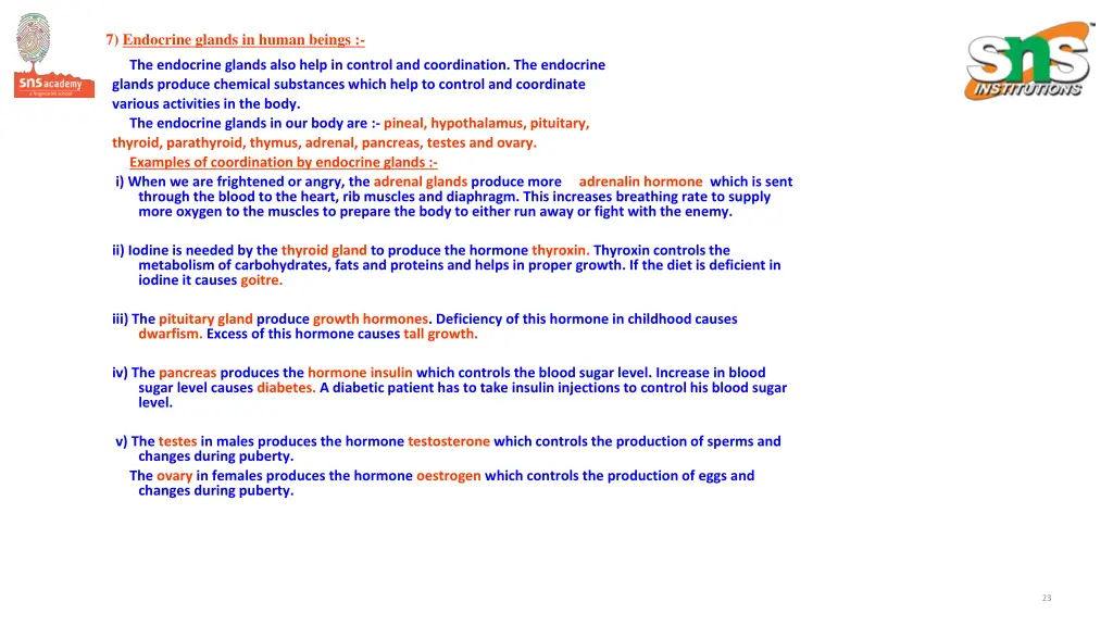 7 endocrine glands in human beings