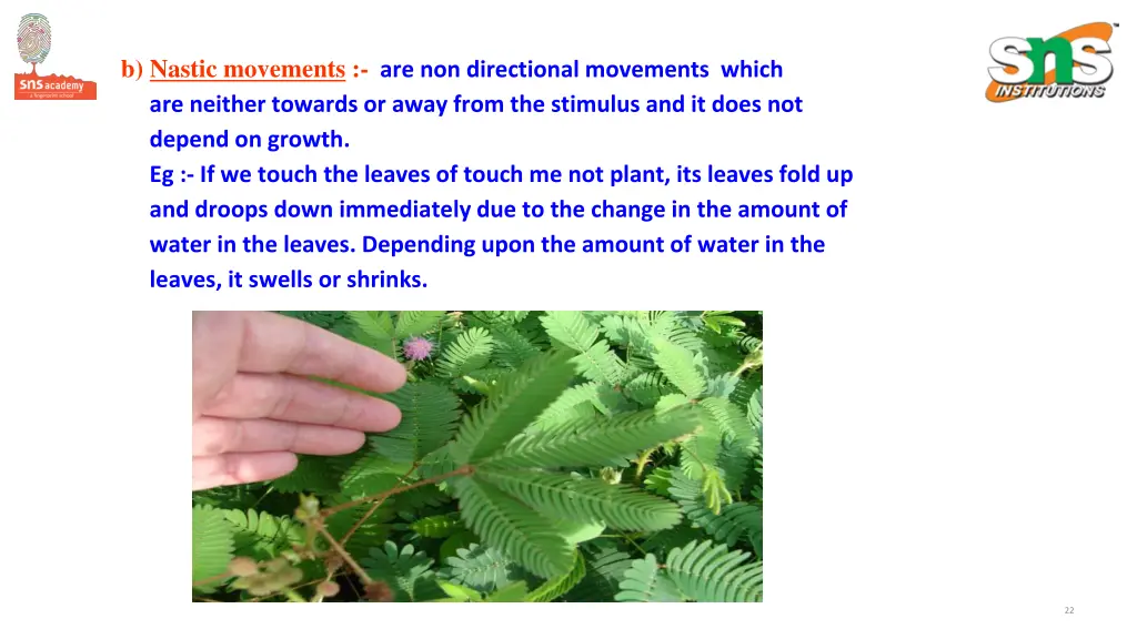 b nastic movements are non directional movements